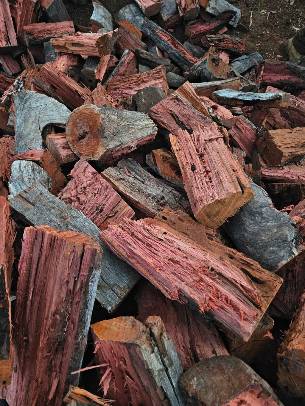 Australian Riverina Redgum